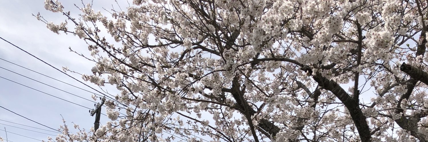 gnc_31's profile banner image