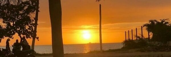 ejpp1's profile banner image