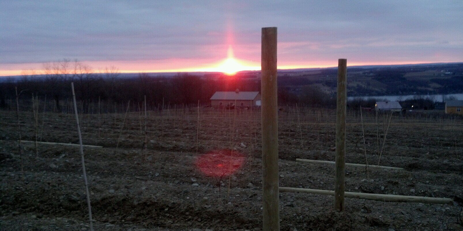 Vineyard View banner