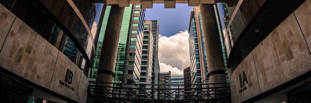 William Pacinelli 🐍 banner