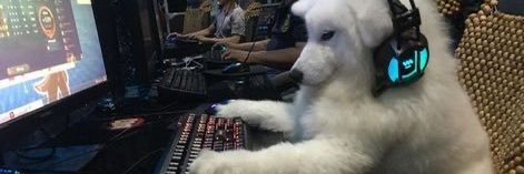 xaxelvlr's profile banner image