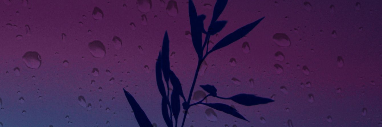 yoquepoenunhaiku banner