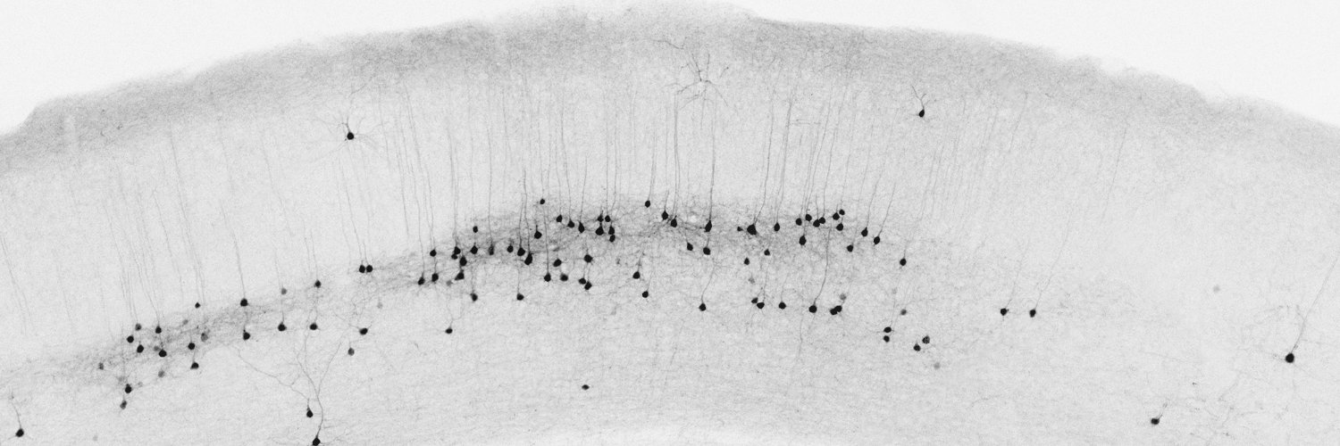 Janelle Pakan banner