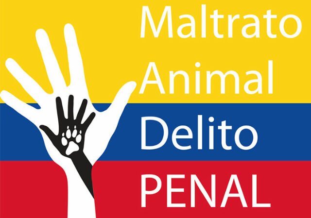 perdimimascotag's profile banner image