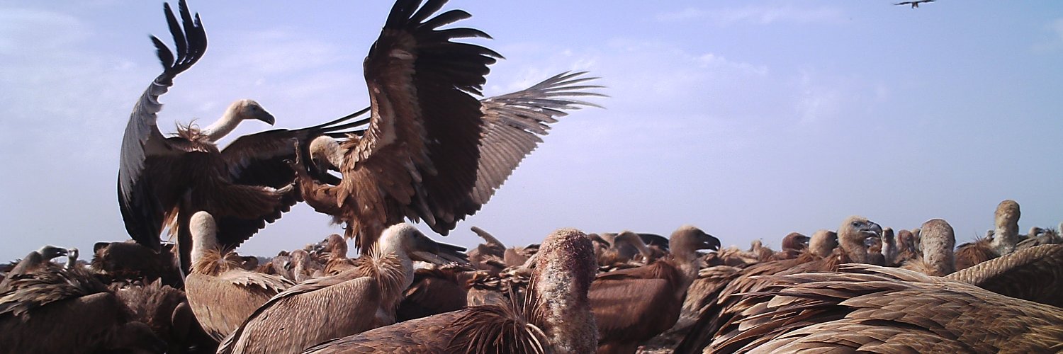 cameratraps's banner