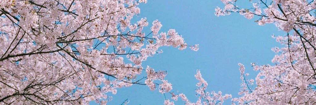 MarianRMB's profile banner image