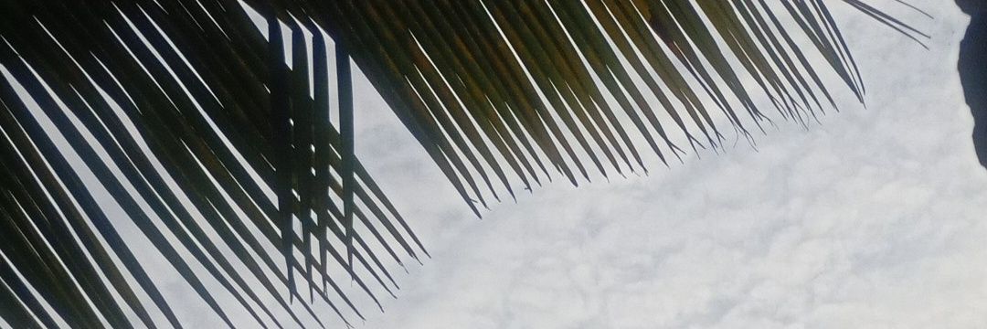 m_jha45's profile banner image