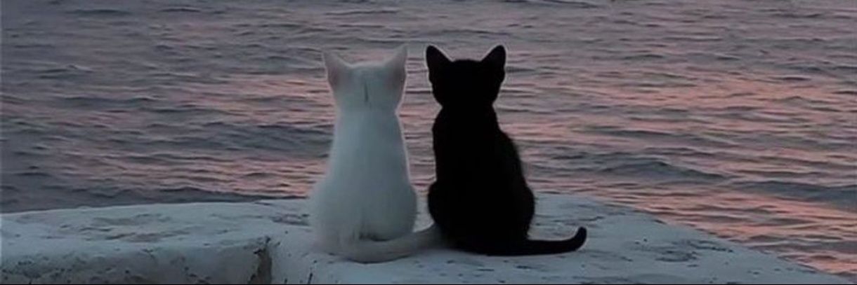 Güven ‏‎ރ🇹🇷 banner
