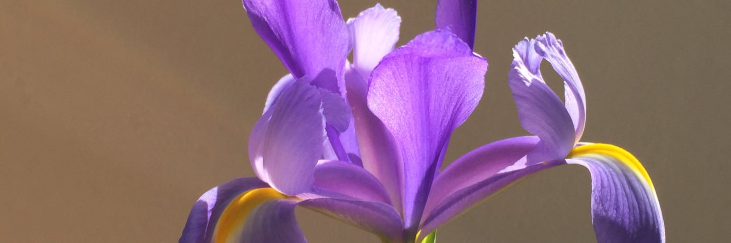 Henory's profile banner image