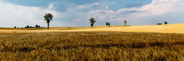 SoildiverAgro Profile Banner