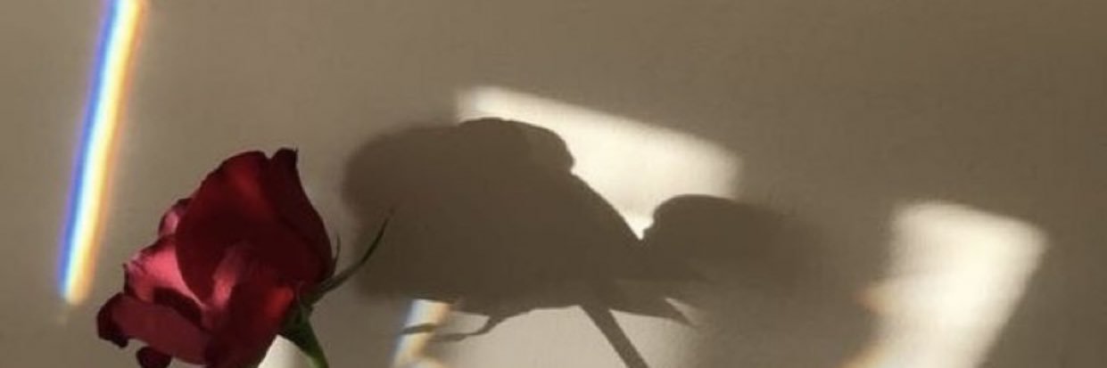 lunarodriguezbb's profile banner image