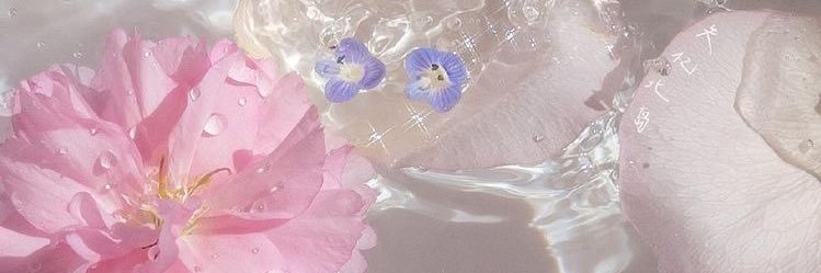 tylahlaaah's profile banner image