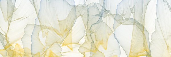 DILEMA_project Profile Banner