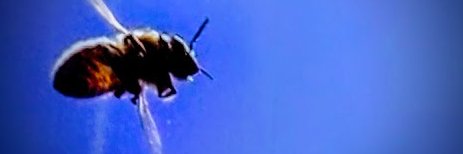 DelaneyNorth14's profile banner image