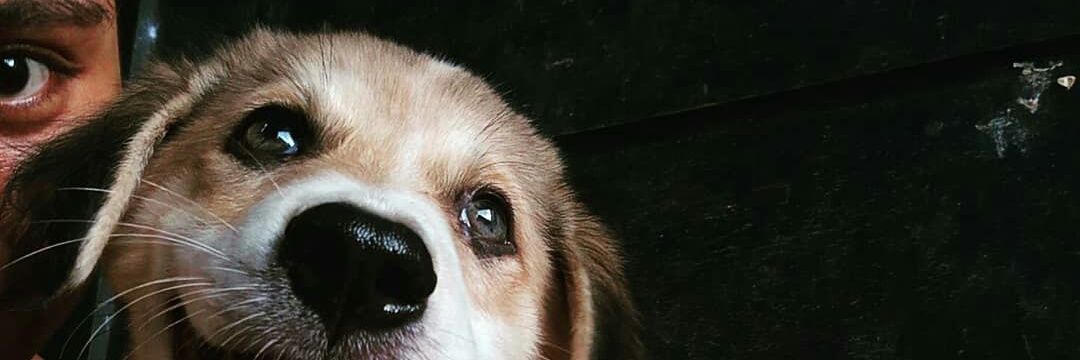 Ingkabarbie's profile banner image