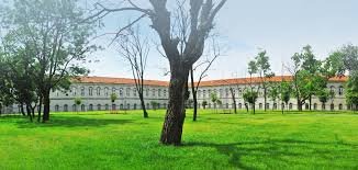 YTU Economics banner