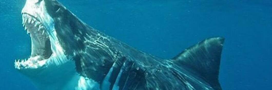 SAROSAVER's profile banner image