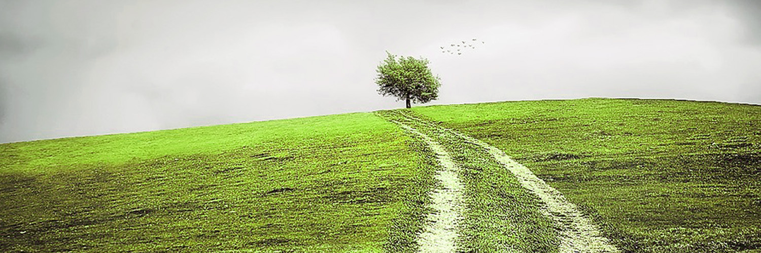 Quality Improvement @ Barnsley Hospital banner