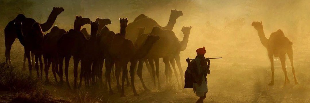 🚩🌞मंगलेश(अंगराज)🌞🚩's banner