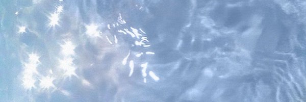 xplengpinx Profile Banner