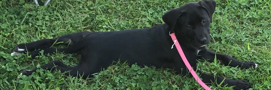ca_christen's profile banner image