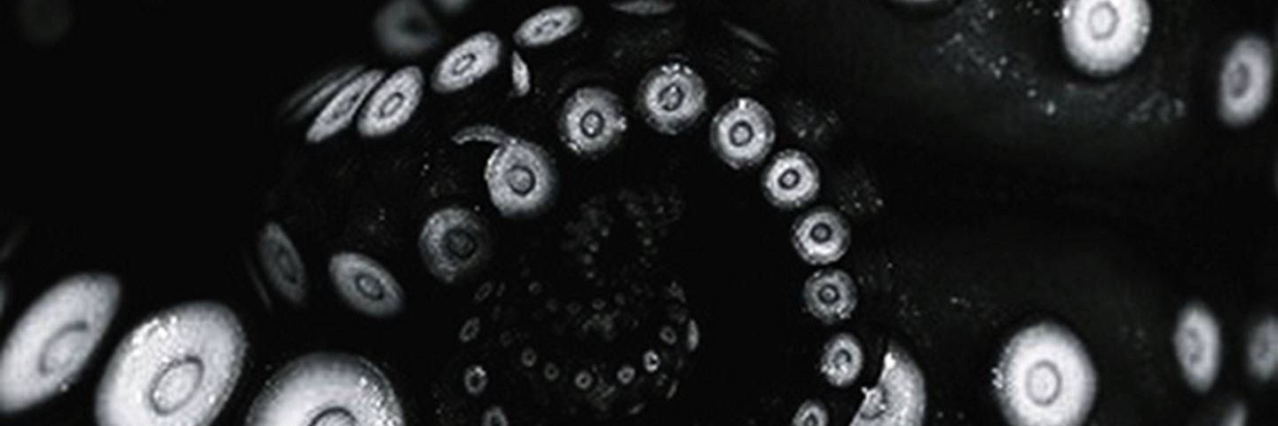 mallmenthol's profile banner image