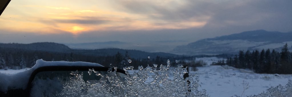Carleynev's profile banner image