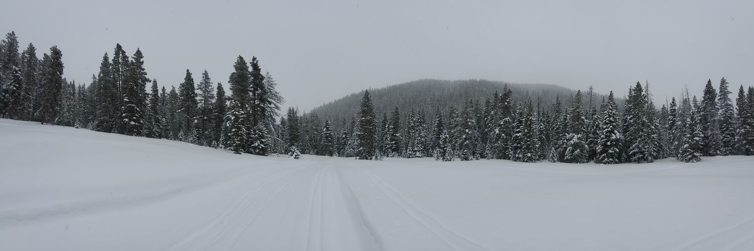 Marieke Gilmartin banner