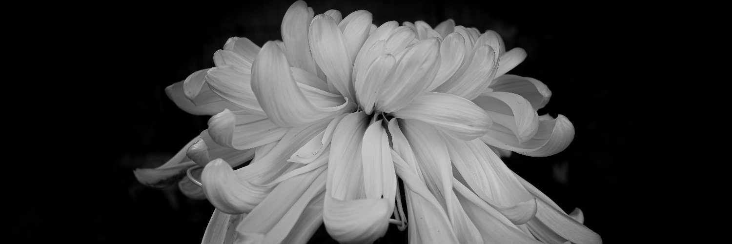 Photographer Powell / GRIV banner