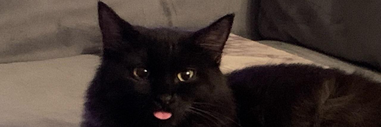 tripptease's profile banner image