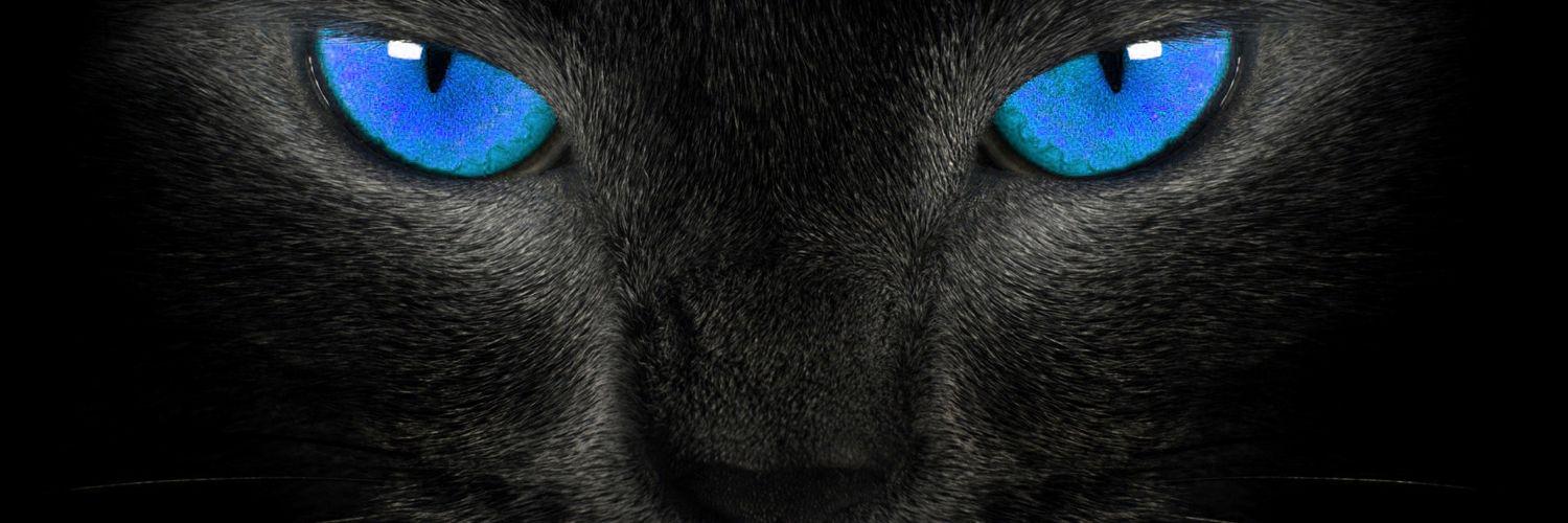 DikaMilang's profile banner image