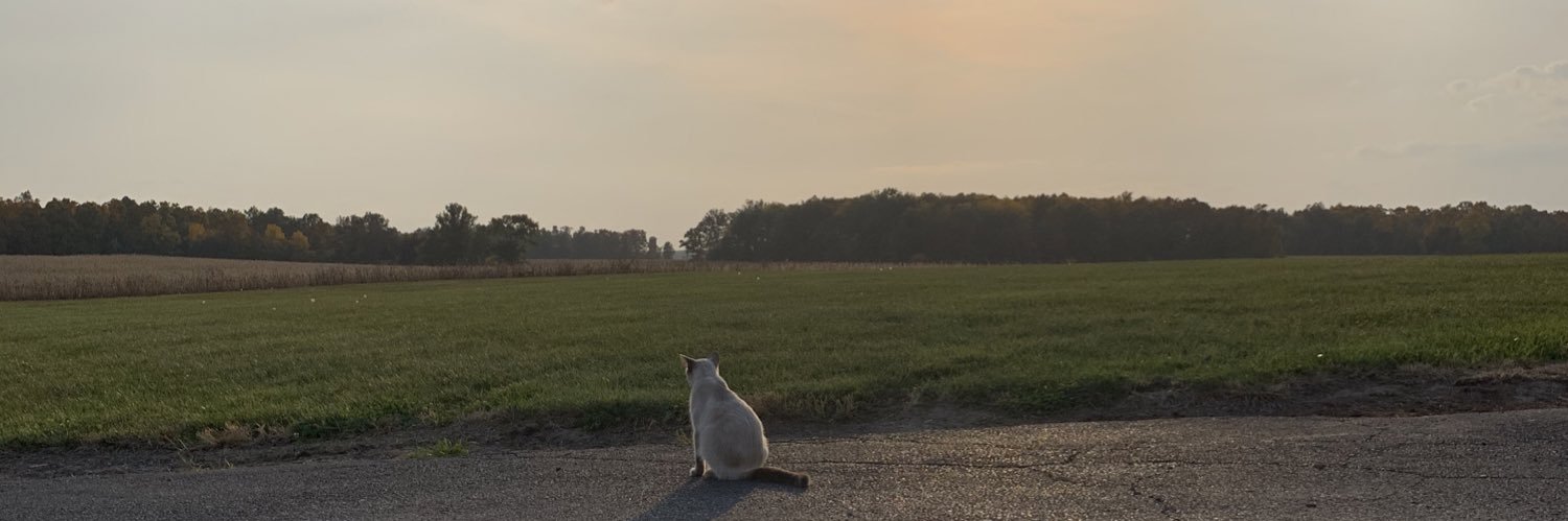 jdmonroe29's profile banner image