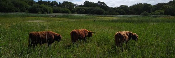 jim_horsfall Profile Banner