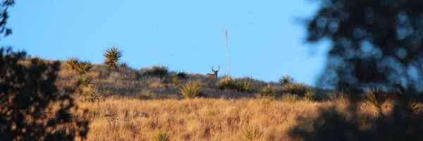 RMcdonnold Profile Banner