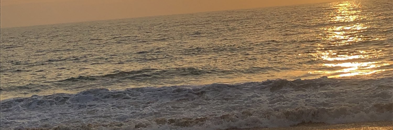 R_elbosque's profile banner image