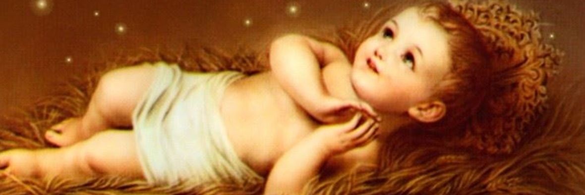 María Jesús Ulea banner