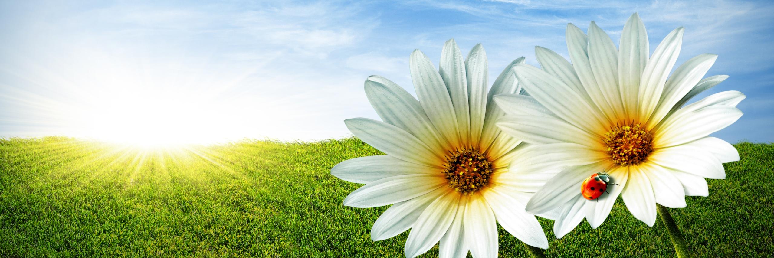 alamilangsing's profile banner image