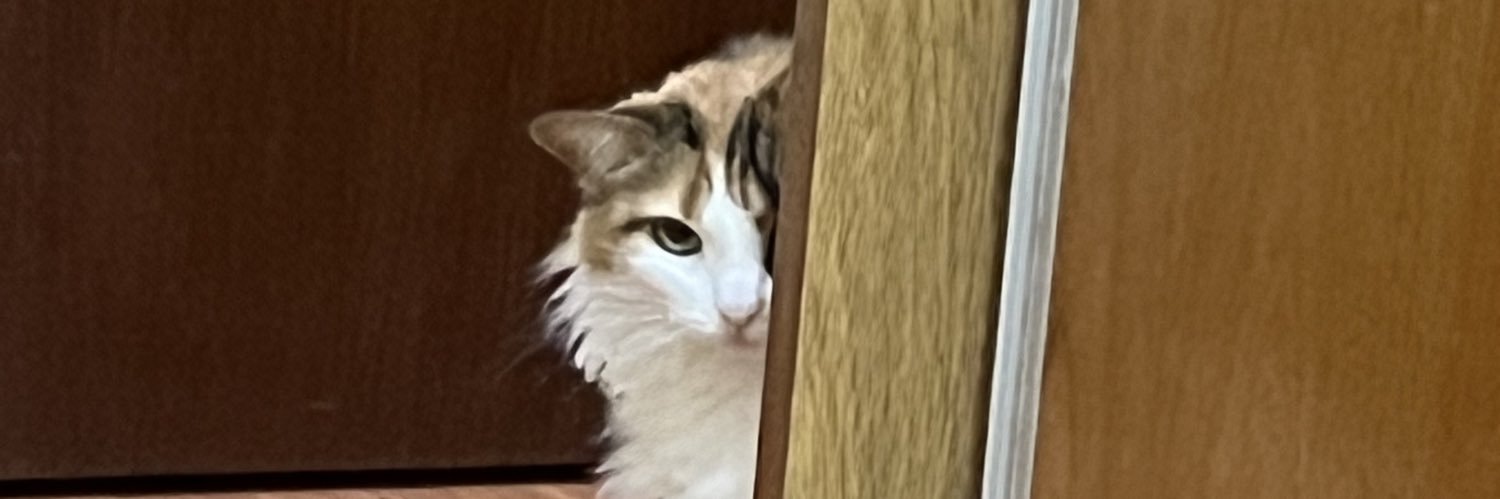 LuliImperatrice's profile banner image