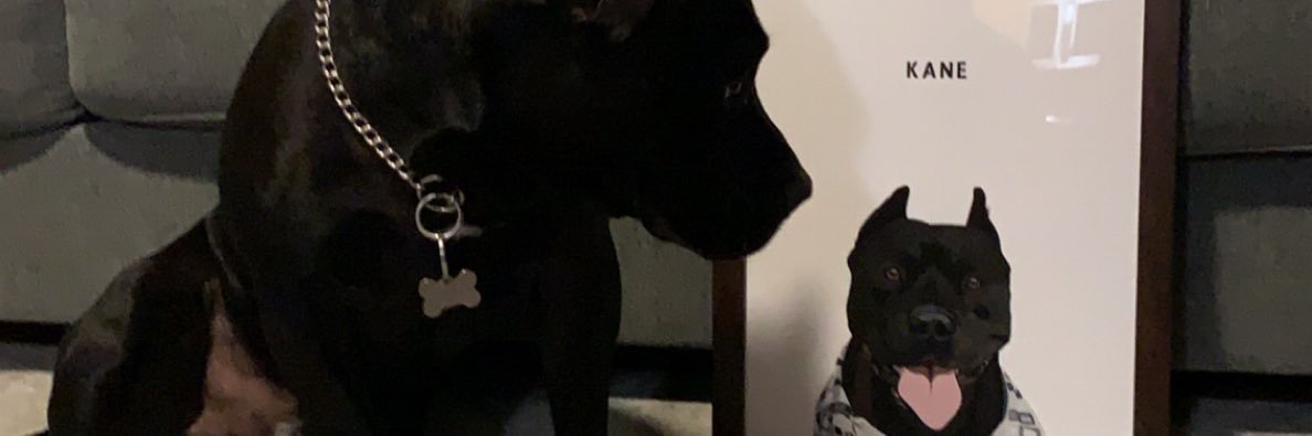 __Javiii's profile banner image