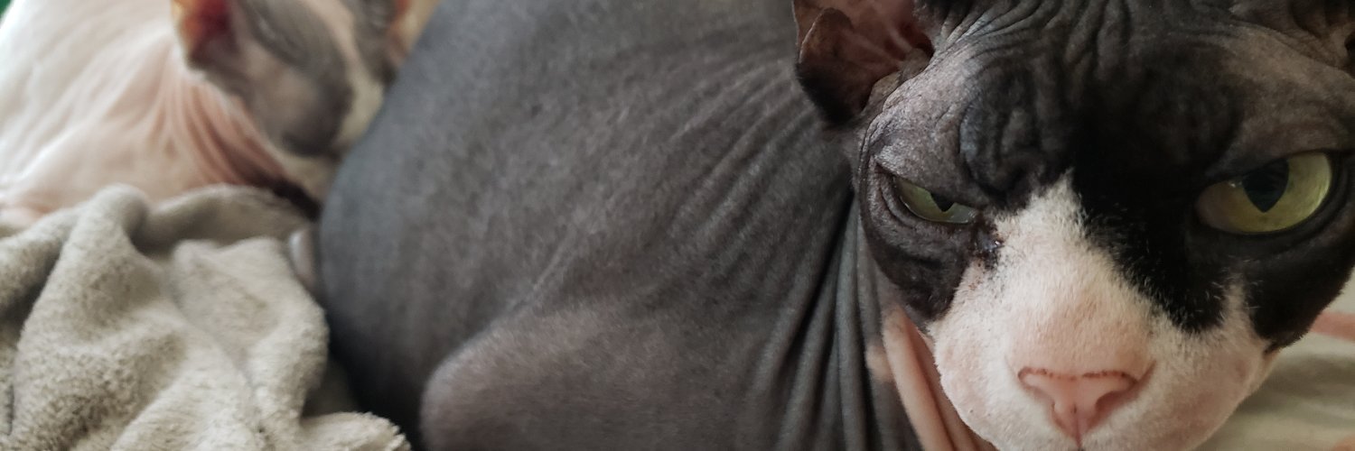 Rupert Digby von Beauregard banner