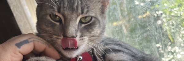 hyperverbal_lee Profile Banner