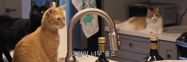 cat_said Profile Banner