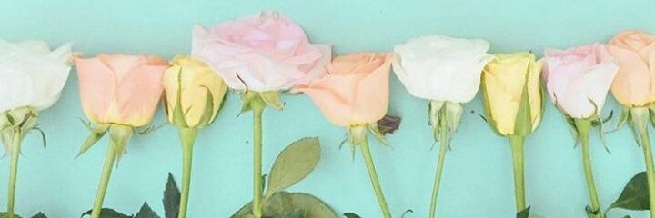 hasnabilla's profile banner image