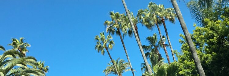 camreezyy's profile banner image