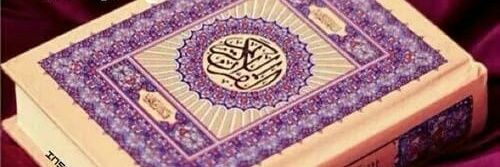 kaledalsayed's profile banner image