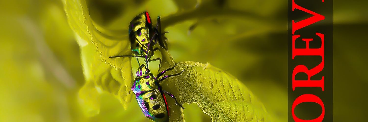 Bikash Mohanta banner