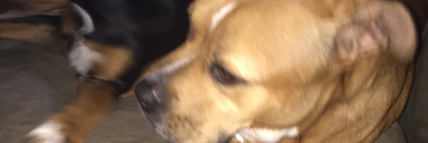 Brabo81's profile banner image