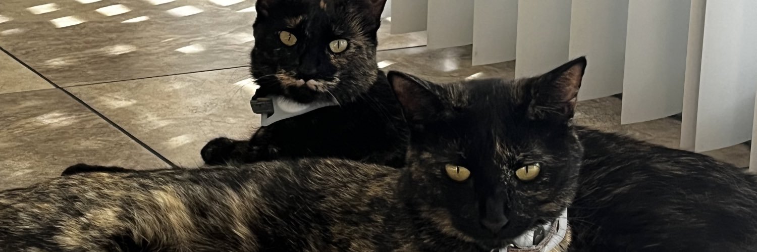 dropdeadvibi's profile banner image
