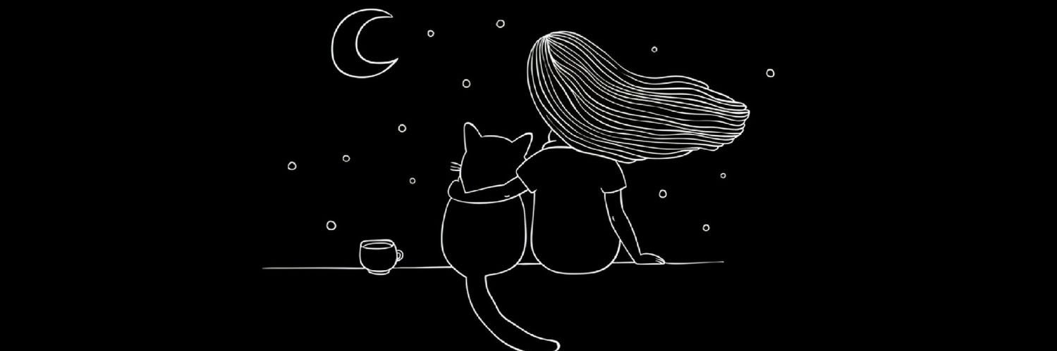 Zet ⋆☾⋆ banner