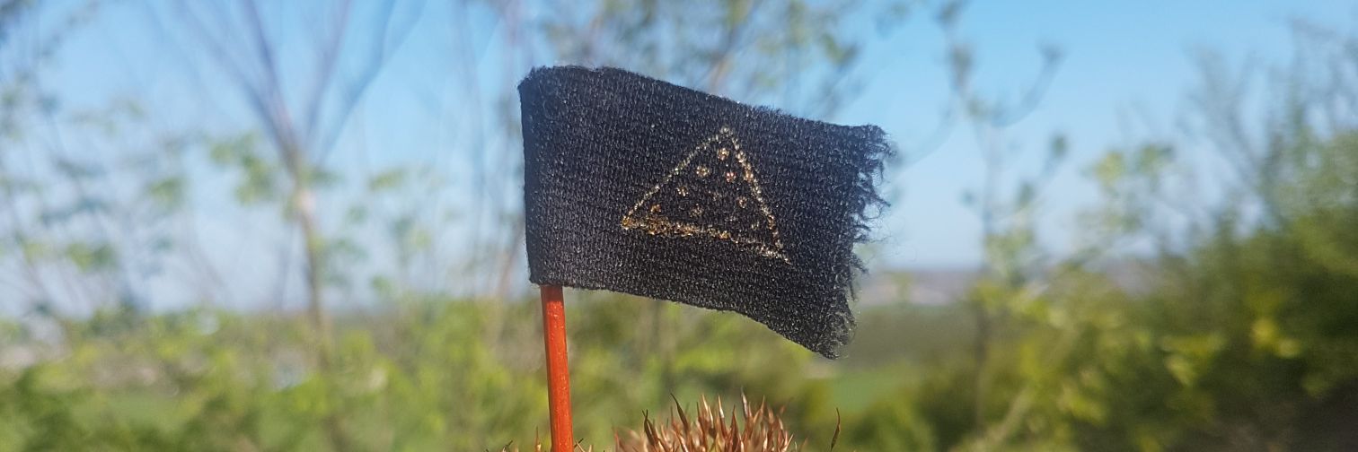 ripetedraper's profile banner image
